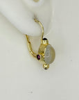 Loch Lomond Moonstone and Garnet Earrings