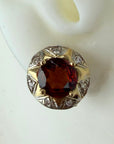 Swan Lake 14k Gold, Diamond and Garnet Earrings