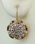 14k Chrysanthemum Diamond Earrings (.25ct)