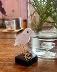 Crystal Plover