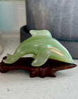 Serpentine Dolphin