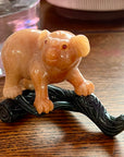 Agate Koala Bear