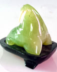 Serpentine Walrus
