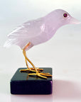 Crystal Plover