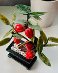 Hand-Carved Serpentine Peach Tree