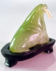 Serpentine Walrus