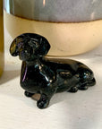 Daphne Dachshund