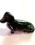 Daphne Dachshund