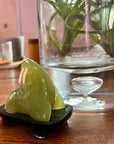 Serpentine Walrus