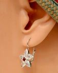 Anne of Gables Cubic Zirconia and Garnet Silver Earrings