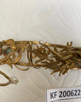Antique Qing Dynasty Tian-Tsui Tiara 200622-K