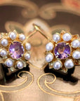 Astrophel 14k Gold, Amethyst and Pearl Earrings