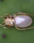 Haymarket Mother of Pearl Pin