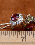 Swan Lake 14k Gold, Diamond and Garnet Earrings