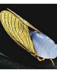 Agate Cicada Necklace