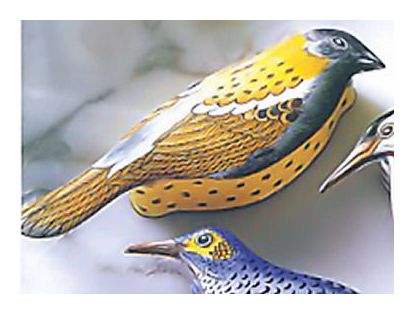 Handpainted Bird Box-Finch