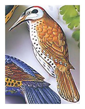 Handpainted Bird Boxes -Woodpecker