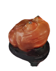 Yangtze Agate Frog